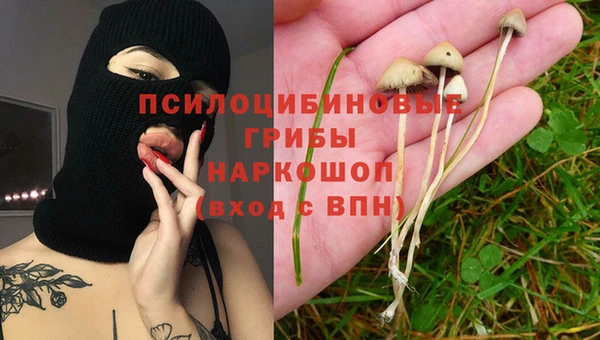 ГАЛЛЮЦИНОГЕННЫЕ ГРИБЫ Алексеевка