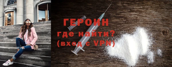 индика Новодвинск