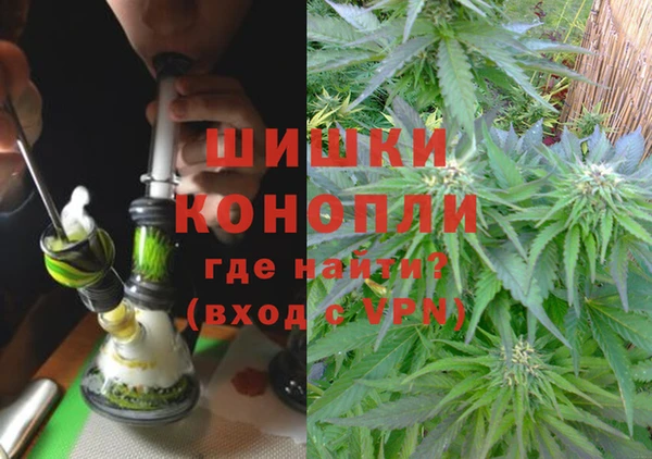 ГАЛЛЮЦИНОГЕННЫЕ ГРИБЫ Алексеевка