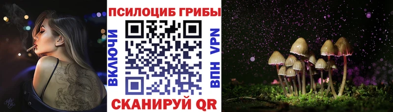 где купить   OMG вход  площадка состав  Серов  Псилоцибиновые грибы GOLDEN TEACHER 